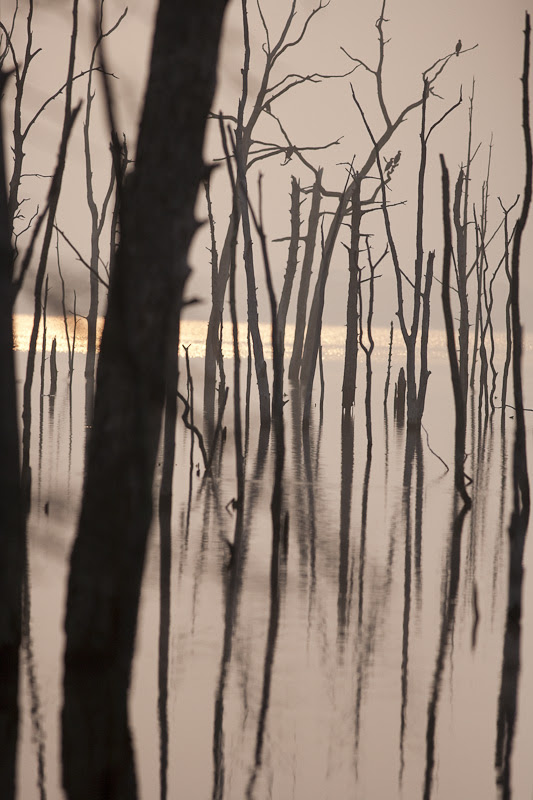 misty_morning2