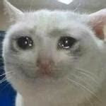 crying cat meme generator imgflip