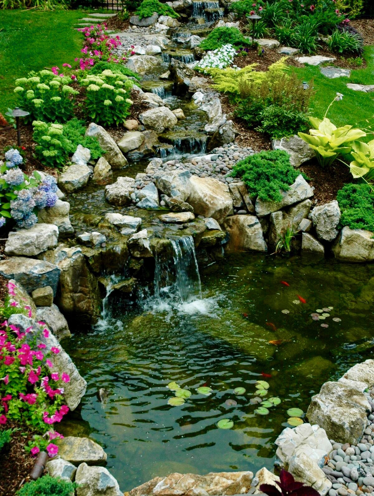 Backyard Ponds Backyard Ponds