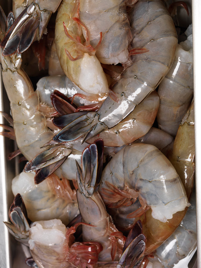Wild Raw Shrimp Best seafood restaurants oyster bars 