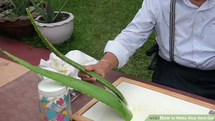 Make Aloe Vera Gel Step 2 Version 4.jpg