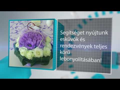 Kép