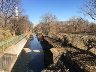 不老川洪水対策としての大森調節池  入間市議会議員物語 「みんなで 