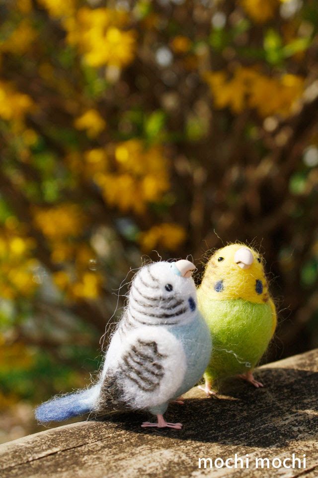 インスピレーション Iphone インコ 壁紙