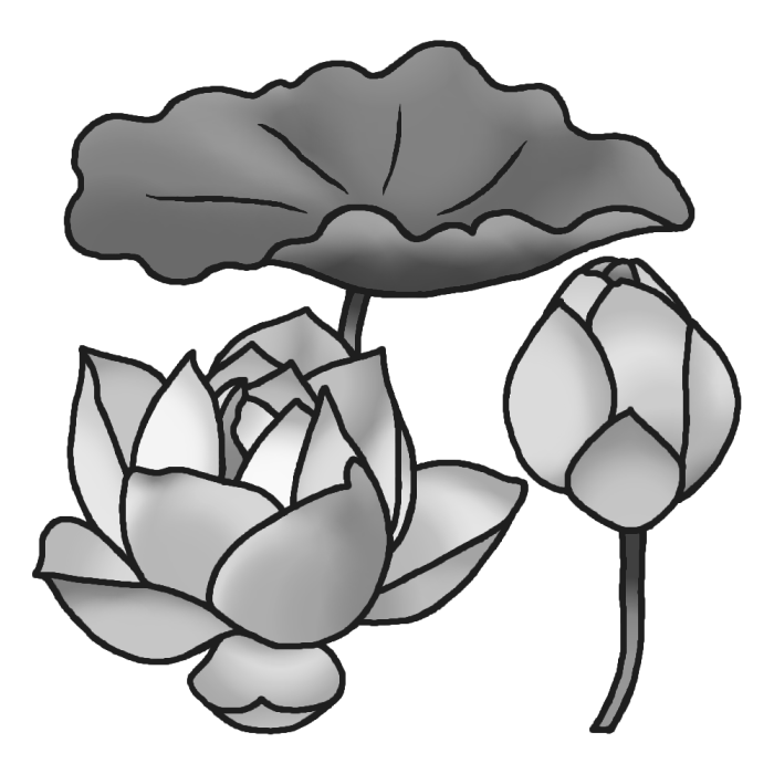 ハス 蓮 モノクロ 夏の花 無料イラスト素材