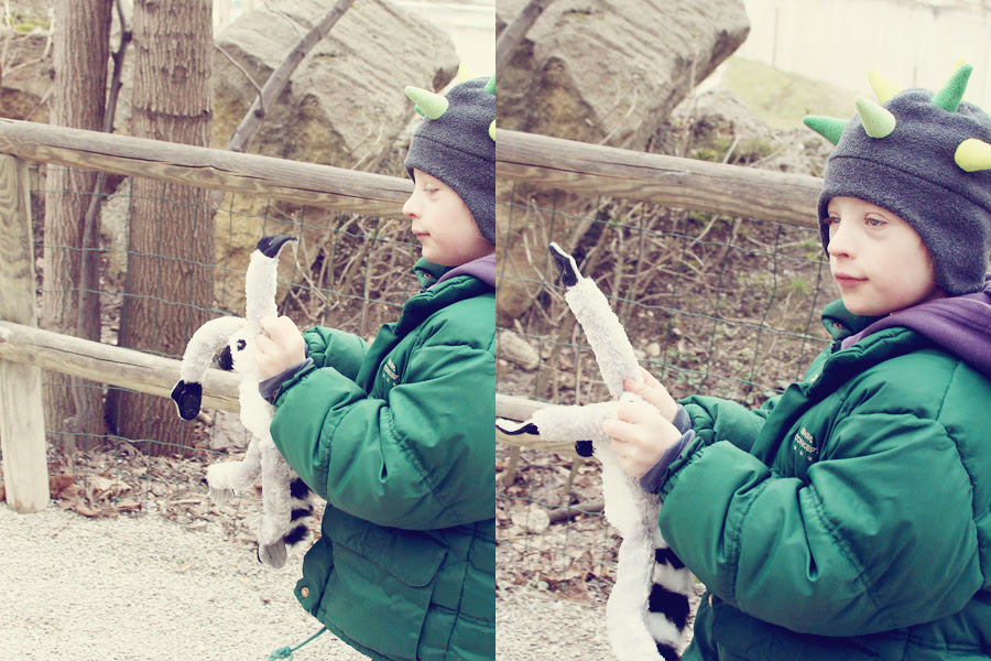 20130313schönbrunn03