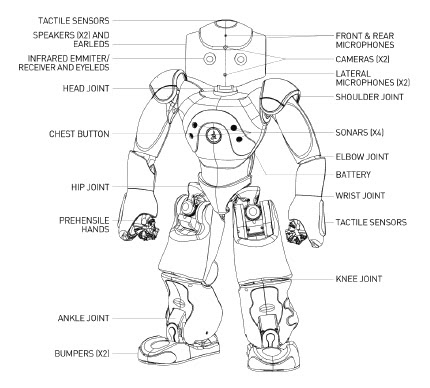 New NAO 2011 Schema