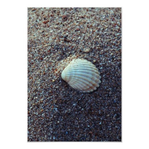 Snailshell 3.5x5 Paper Invitation Card