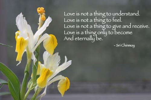 35 Cute Short Love Poems
