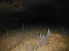 DSCF2893