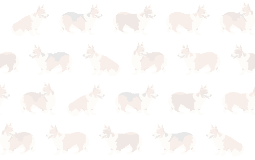 犬 ウェルシュ コーギーの壁紙 元画像 無料素材 壁紙tank