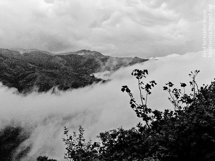 Cumbres borrascosas
