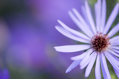 Zilker Botanical Gardens