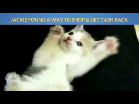 Best Places To Shop For Pet Supplies Bowls Feeders Carriers Beds Toys & Save Money Cash Back Offers We all love our cats and dogs. We strive to keep them safe and provide the necessary things to make them grow healthy. We do ...