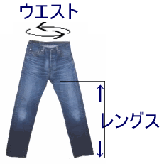 サイズ表