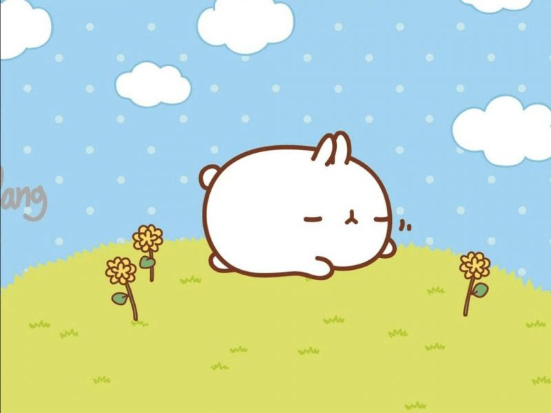 50 Background Lucu dan Imut yang Gemesin dan Menarik 50 Background Lucu dan Imut yang Gemesin dan Menarik
