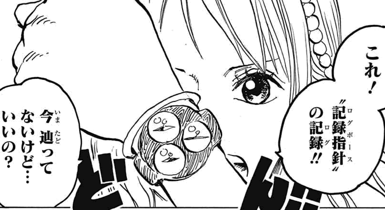 Onepiece 0 犬と猫に歴史あり 我思う故に 新館我思う故に 新館