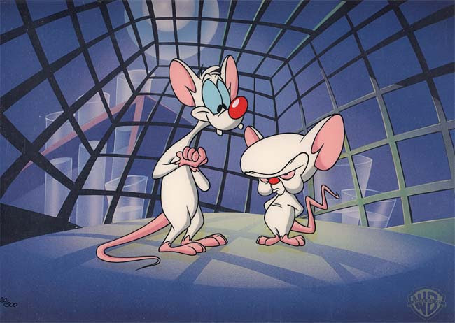 pinky brain delineation