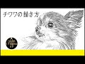 √1000以上 描き方 チワワ イラスト 簡単 908870
