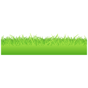 草原のイラスト14 花 植物イラスト Flode Illustration フロデイラスト