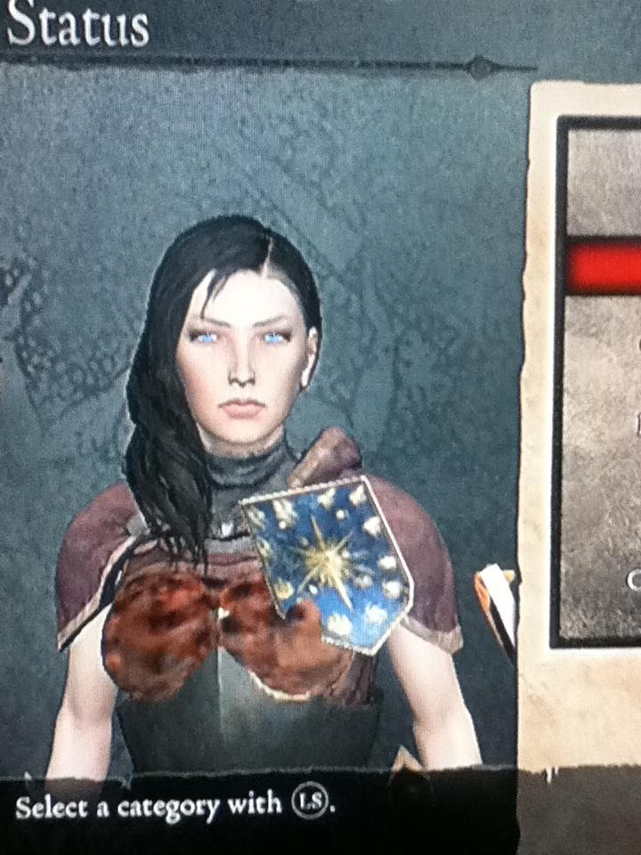 I Cannot For The Life Of Me Make A Good Looking Female Arisen Dragon S Dogma