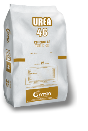Urea olivo