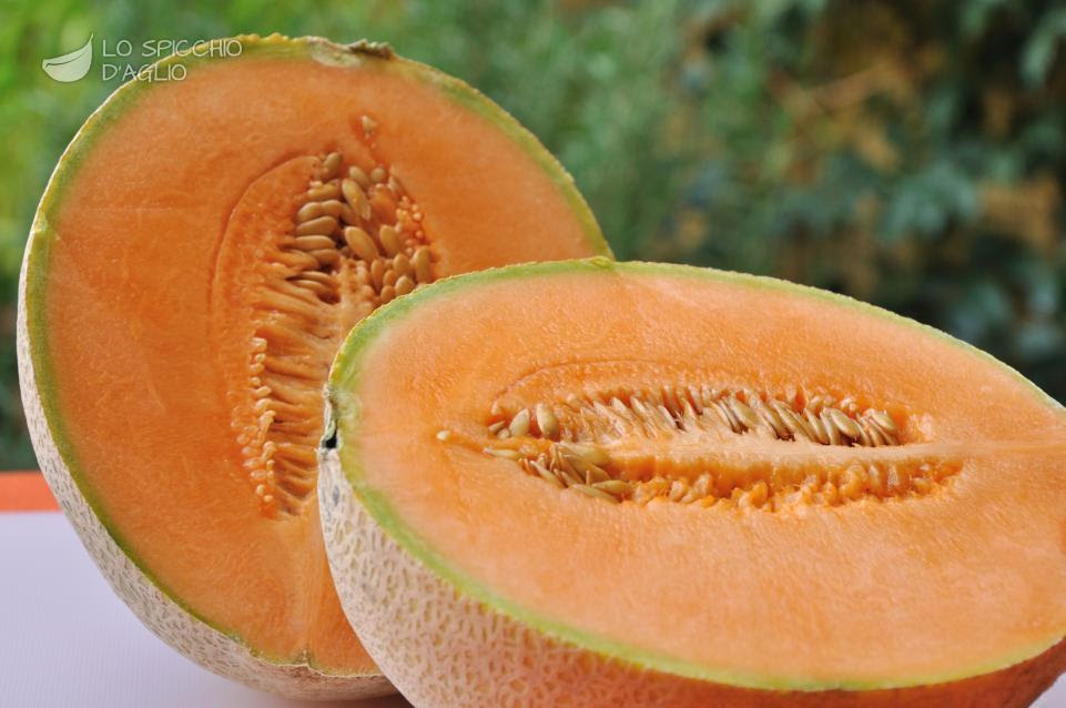 Ingrediente Melone - Le ricette dello spicchio d'aglio