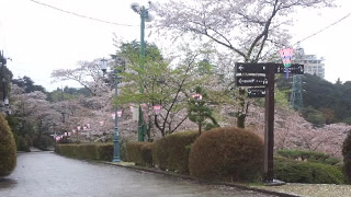 宇都宮タワー 八幡山公園 バリアフリーマップ