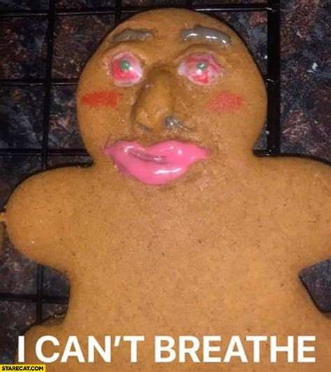 starecatcom memes funny pictures gifs  lol pics page