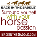 Back In The Saddle