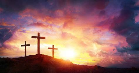 Try these tips to keep your tree in good shape for years to come. Crucifixion Jesus Christ Sunrise Crosses Hill photo