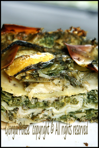 lasagne pestostracco