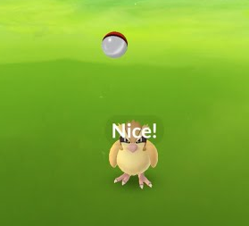 ポケモンgo ポケモンに逃げられやすく 経験値も入らない不具合が発生中