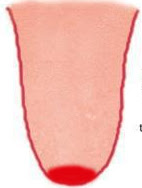 tongue-redtip