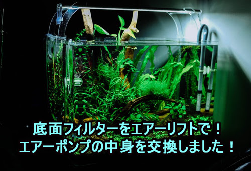 底面フィルターをエアーリフトで エアーポンプの中身を交換しました 優柔不断流の買物道