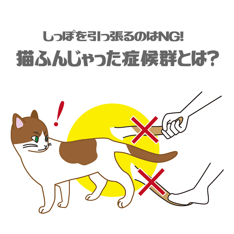 法医学 代表 宗教 虎 尻尾 感情 Hokensoudan Osaka Jp