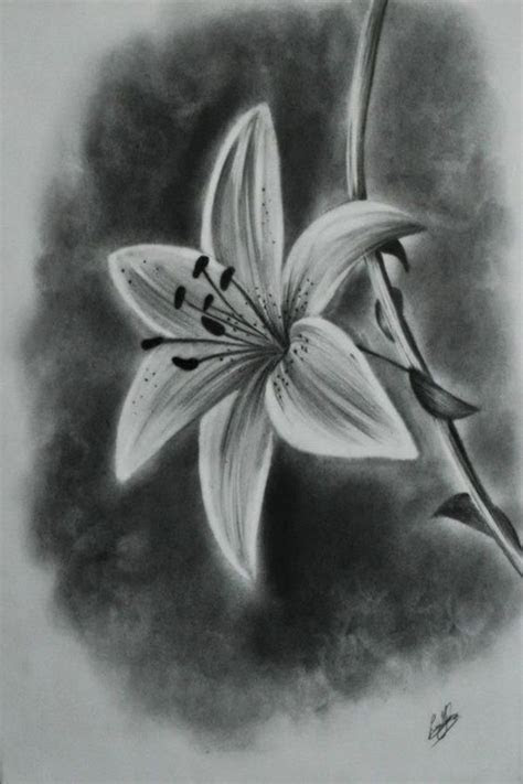 easy flower pencil drawings  inspiration realistic flower
