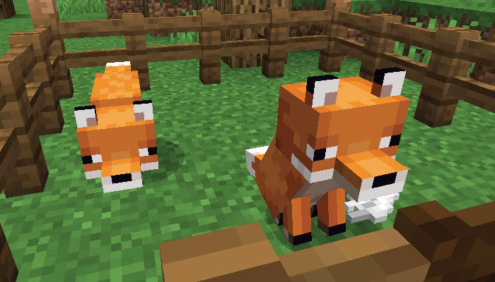マイクラ キツネのスポーン地域と手懐け 繁殖方法 かわいいキツネのふるまいって マイクラモール