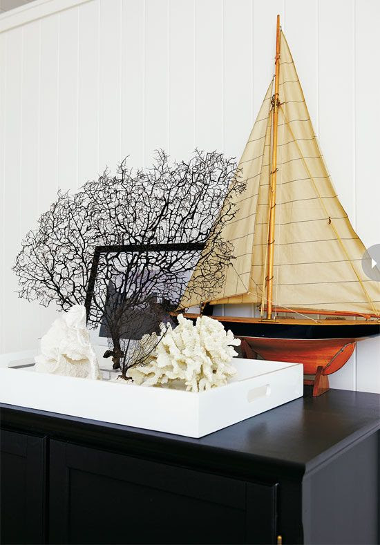 .Sea fan, coral, model sailboat