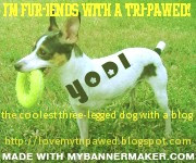 Create your own banner at mybannermaker.com!