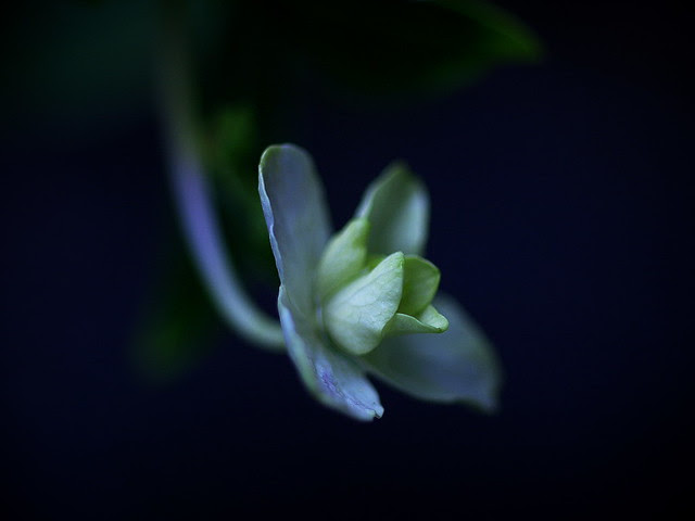 P6171247