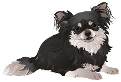 犬 チワワ 無料クロスステッチ図案チャートフリー さくらんぼ