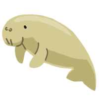 ジュゴン 背景なし の無料素材 イラスト沖縄 おきなわ