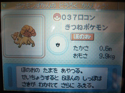 よもぎの色ポケコレクションブログ ロコン キュウコン