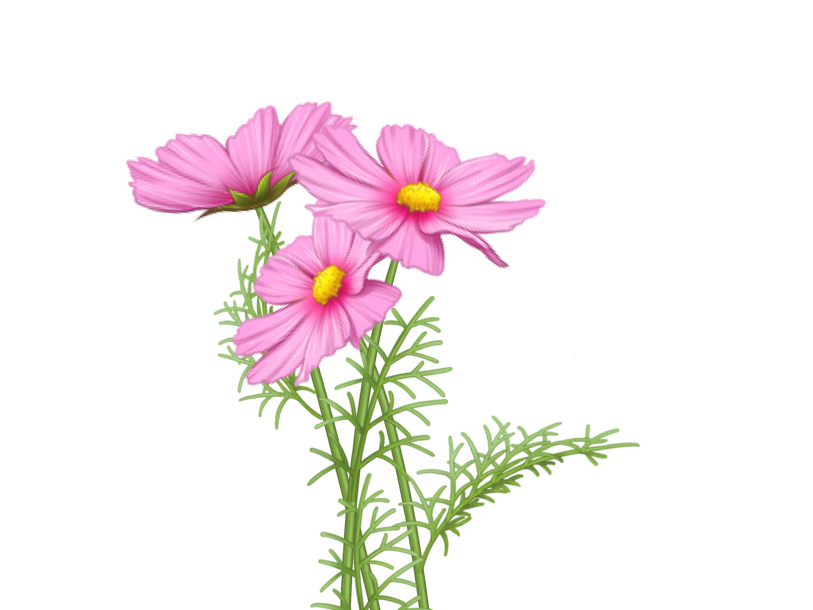 ９月といえば イベントや行事 花や食べ物など話題のタネまとめ 速報 スクープちゃんニュース