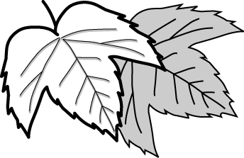 秋のイラスト 落ち葉 紅葉のイラスト 無料イラスト フリー素材