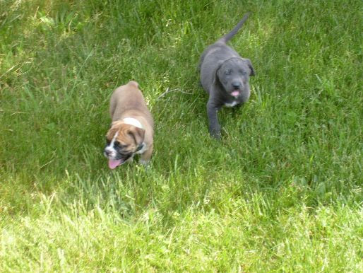 cuties