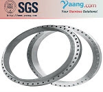 Super Duplex 1.4462 flange
