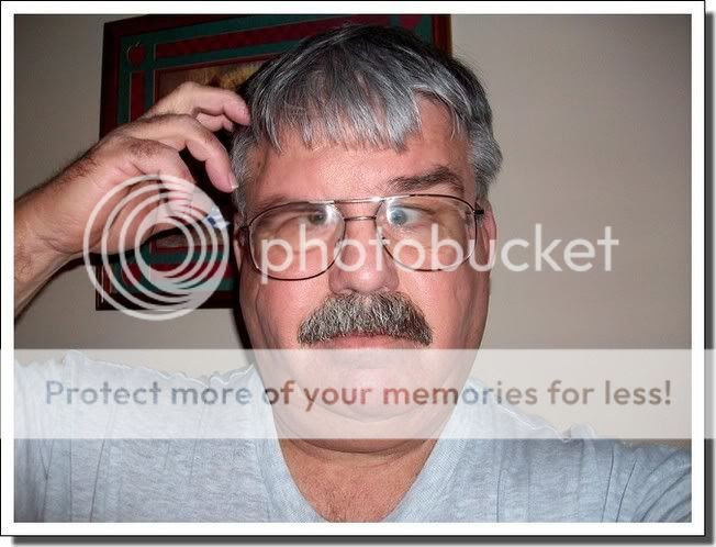 They look normal to me.