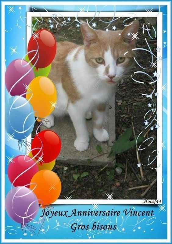 Joyeux Anniversaire Vincent